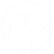 CoinGecko